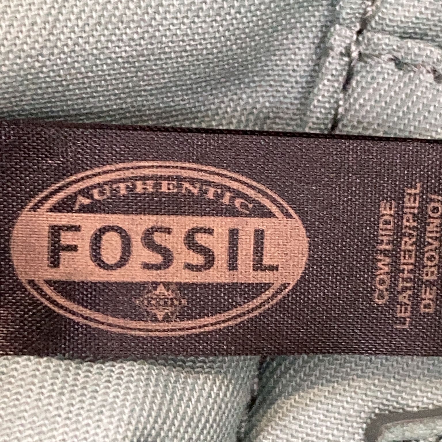 Fossil