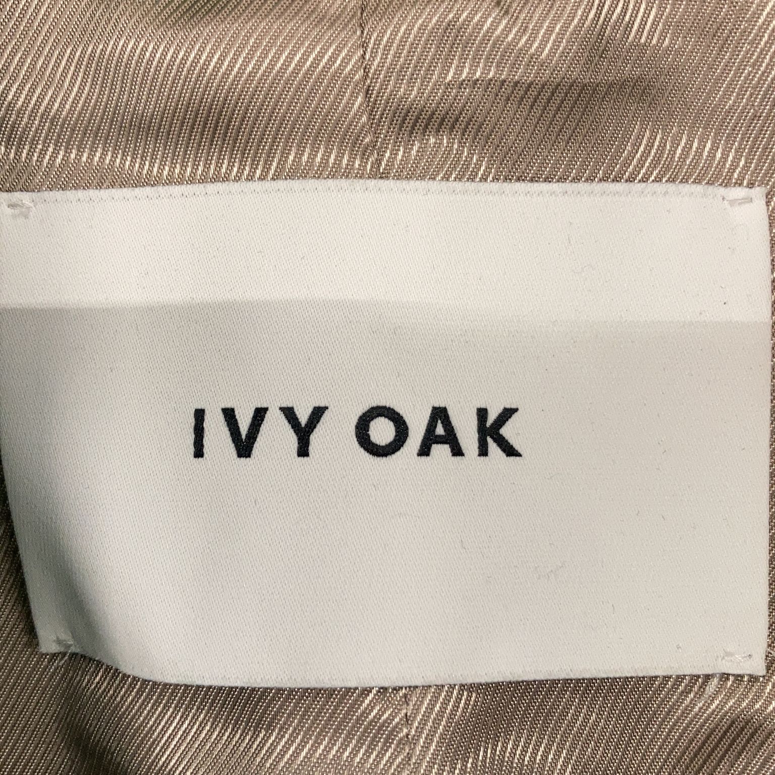 Ivy Oak