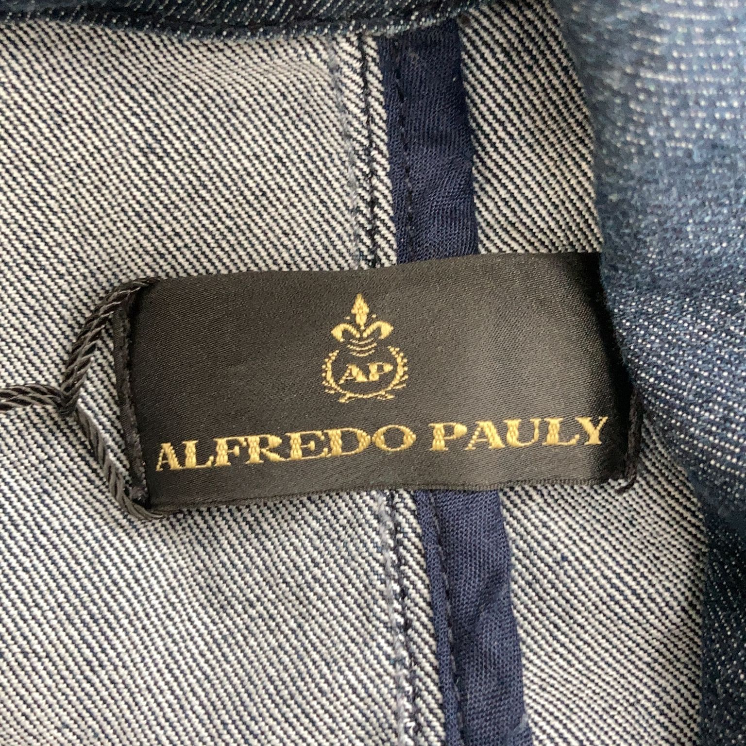 Alfredo Pauly