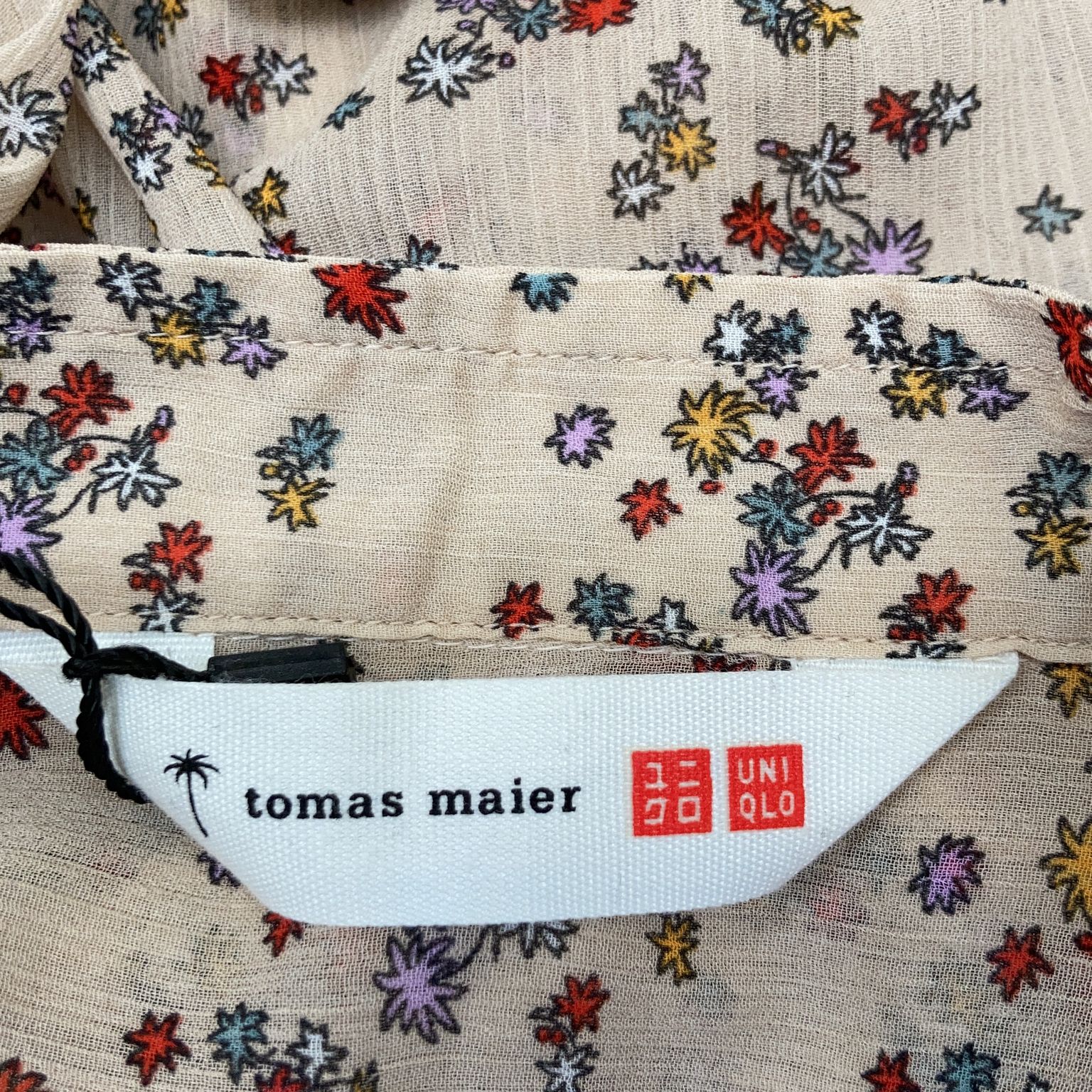 Tomas Maier x Uniqlo