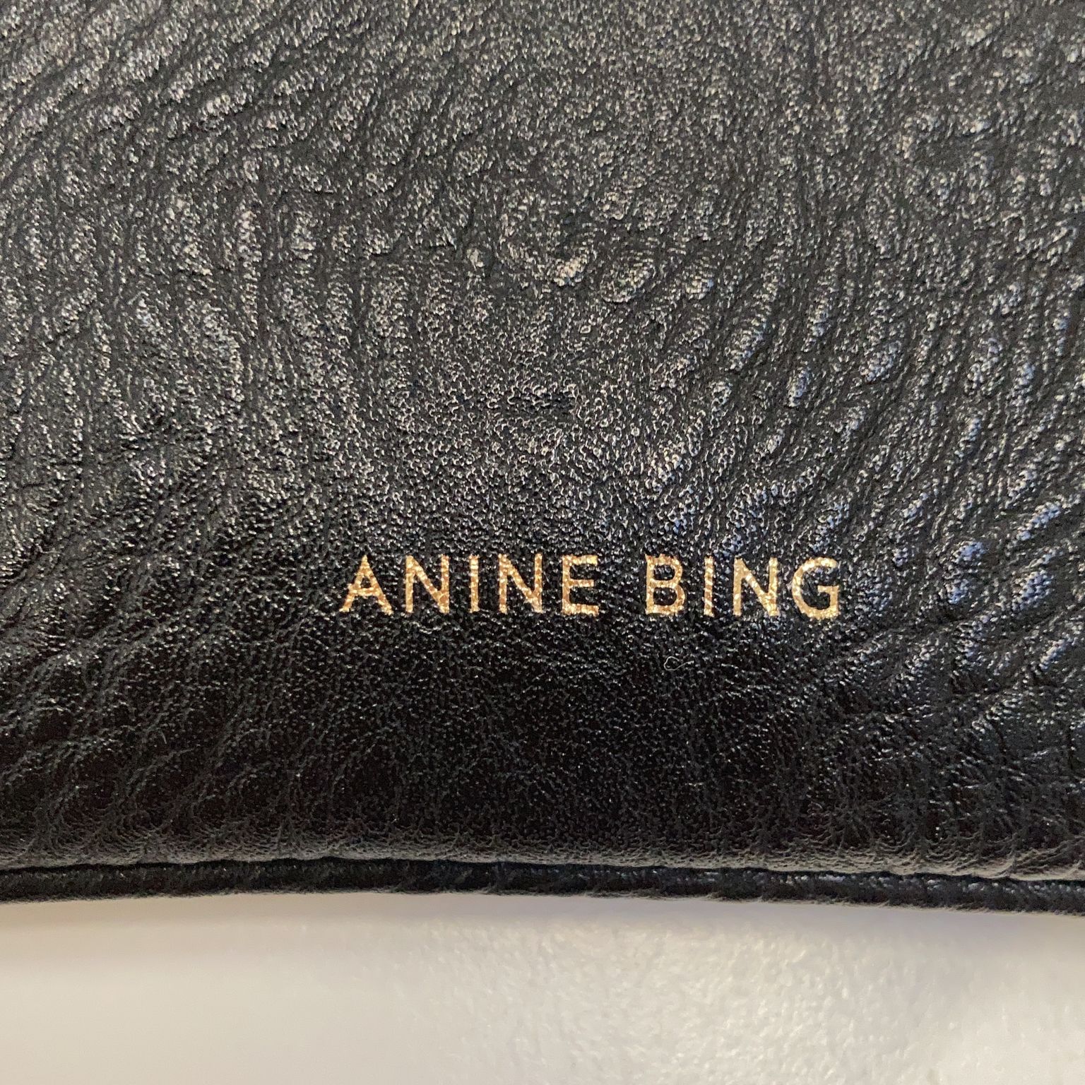 Anine Bing