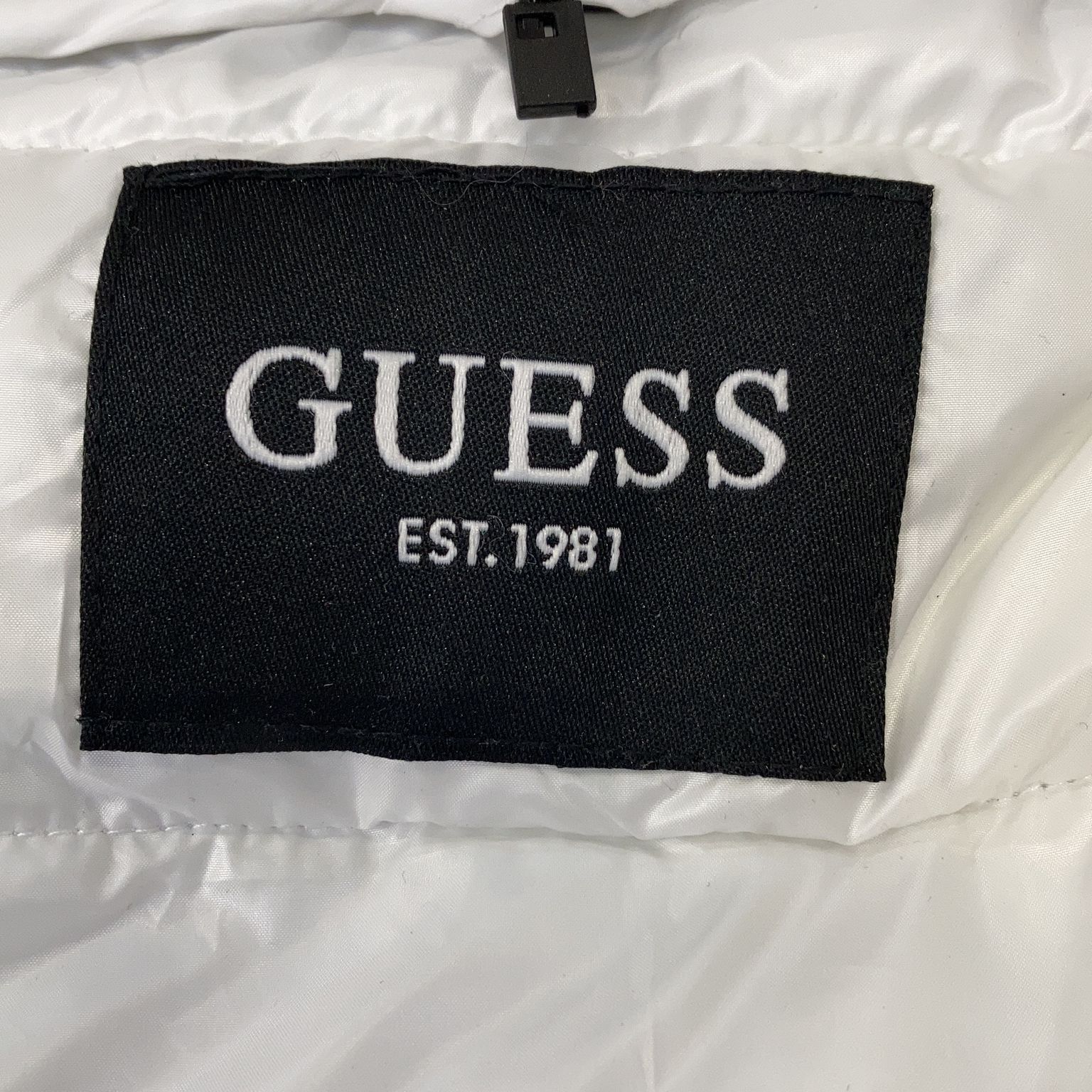 Guess