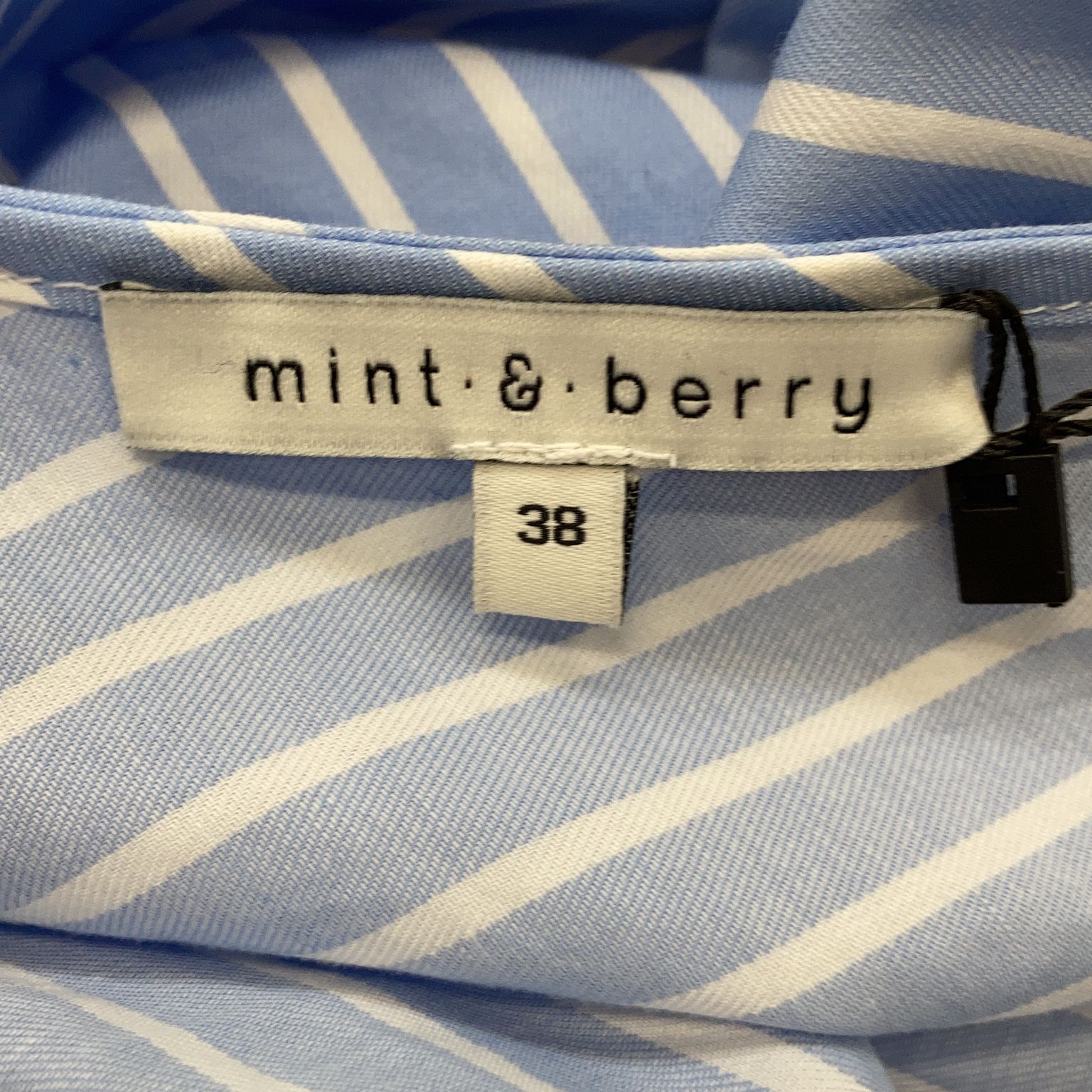 Mint  Berry