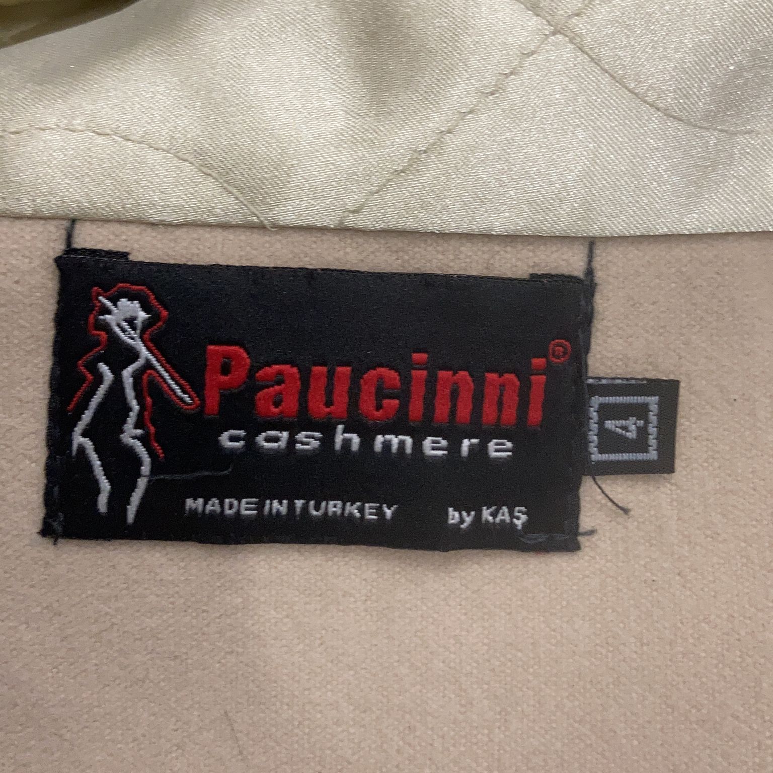 Paucinni