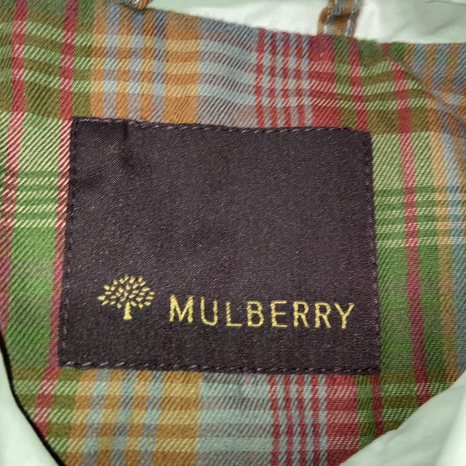 Mulberry