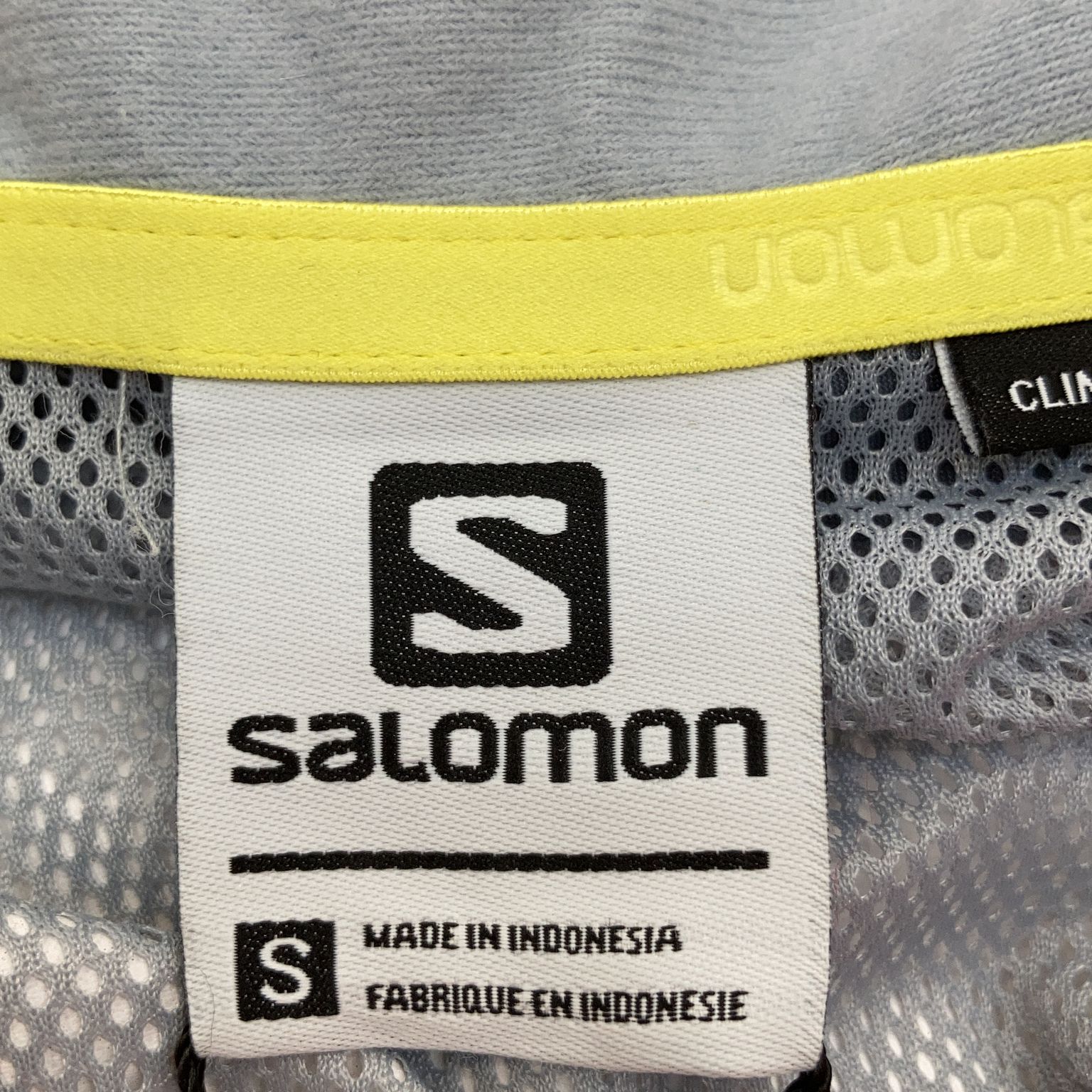 Salomon