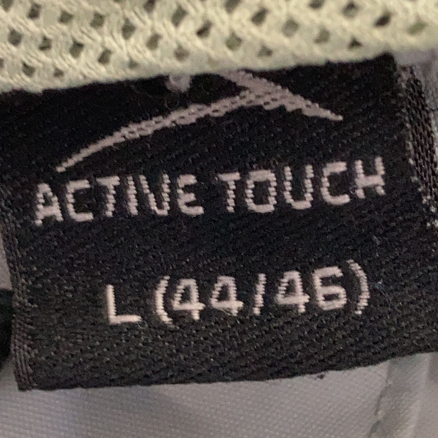 Active Touch