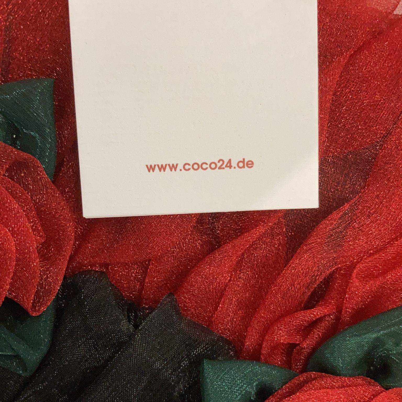 Coco24