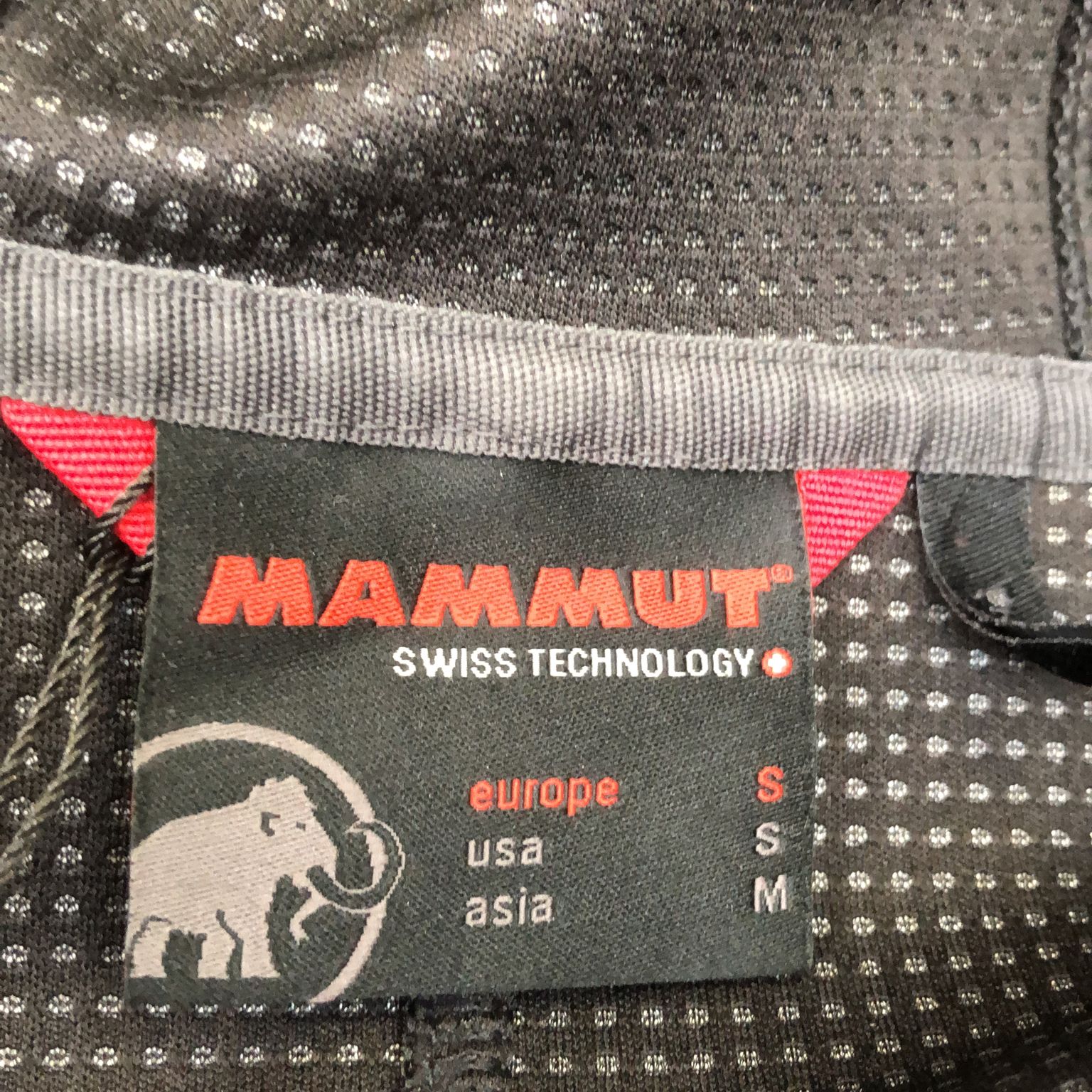 Mammut