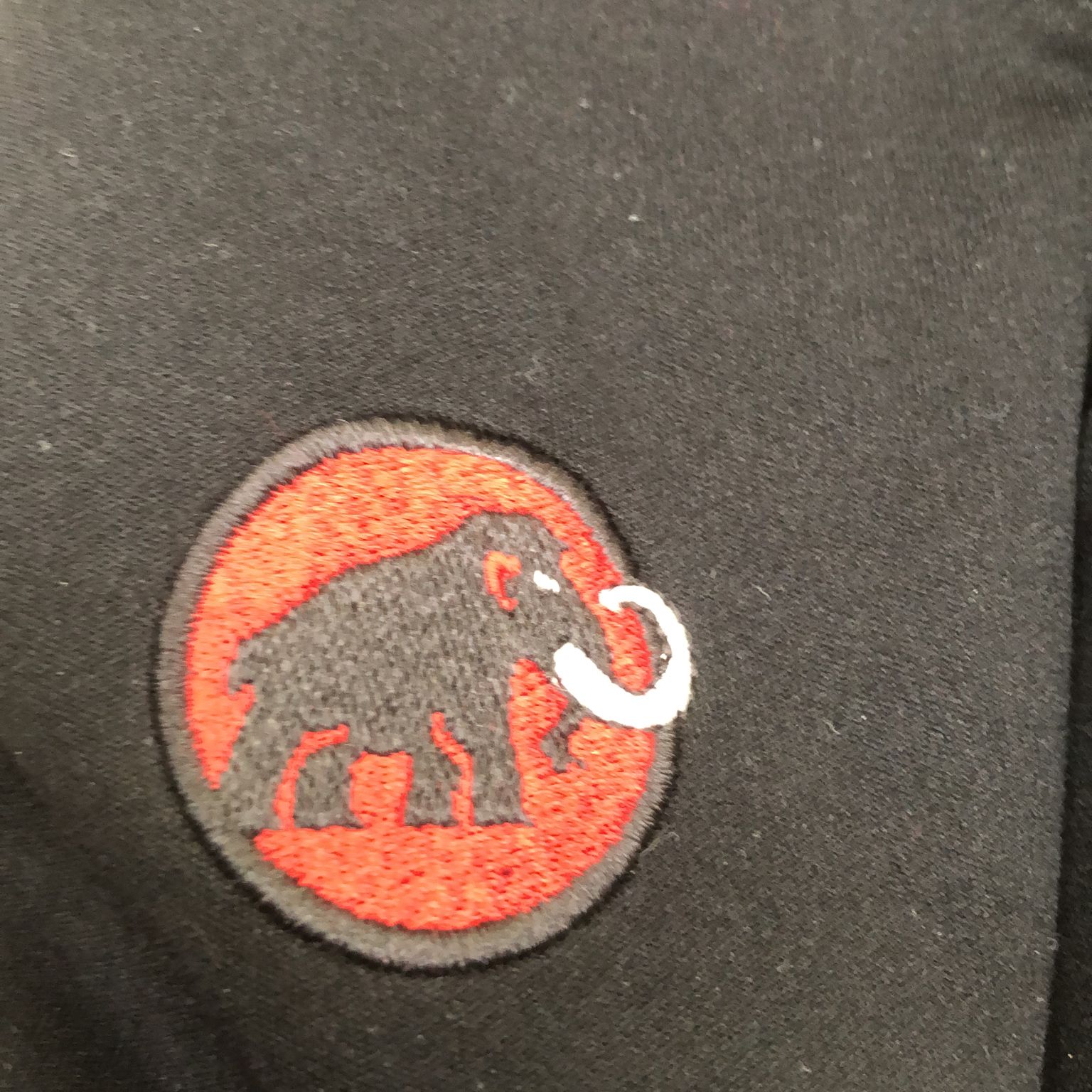 Mammut