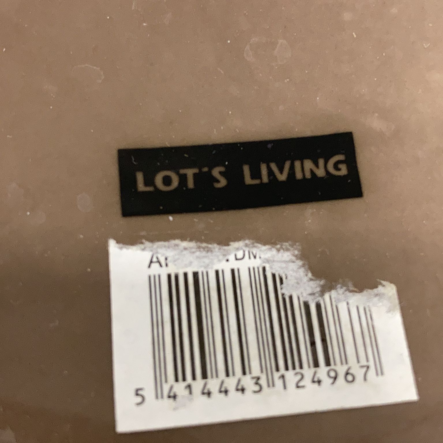 Lot's Living