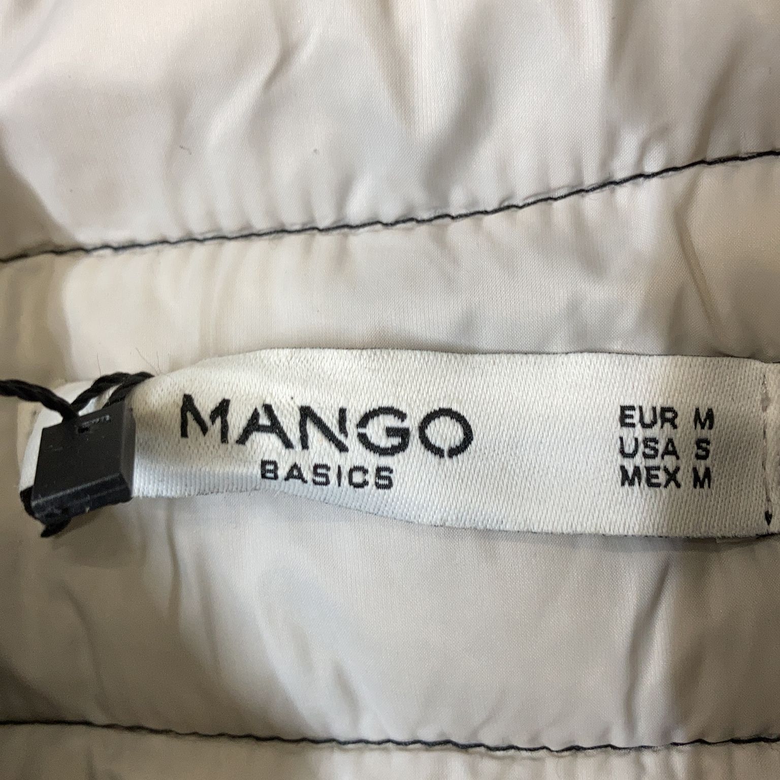 Mango Basics