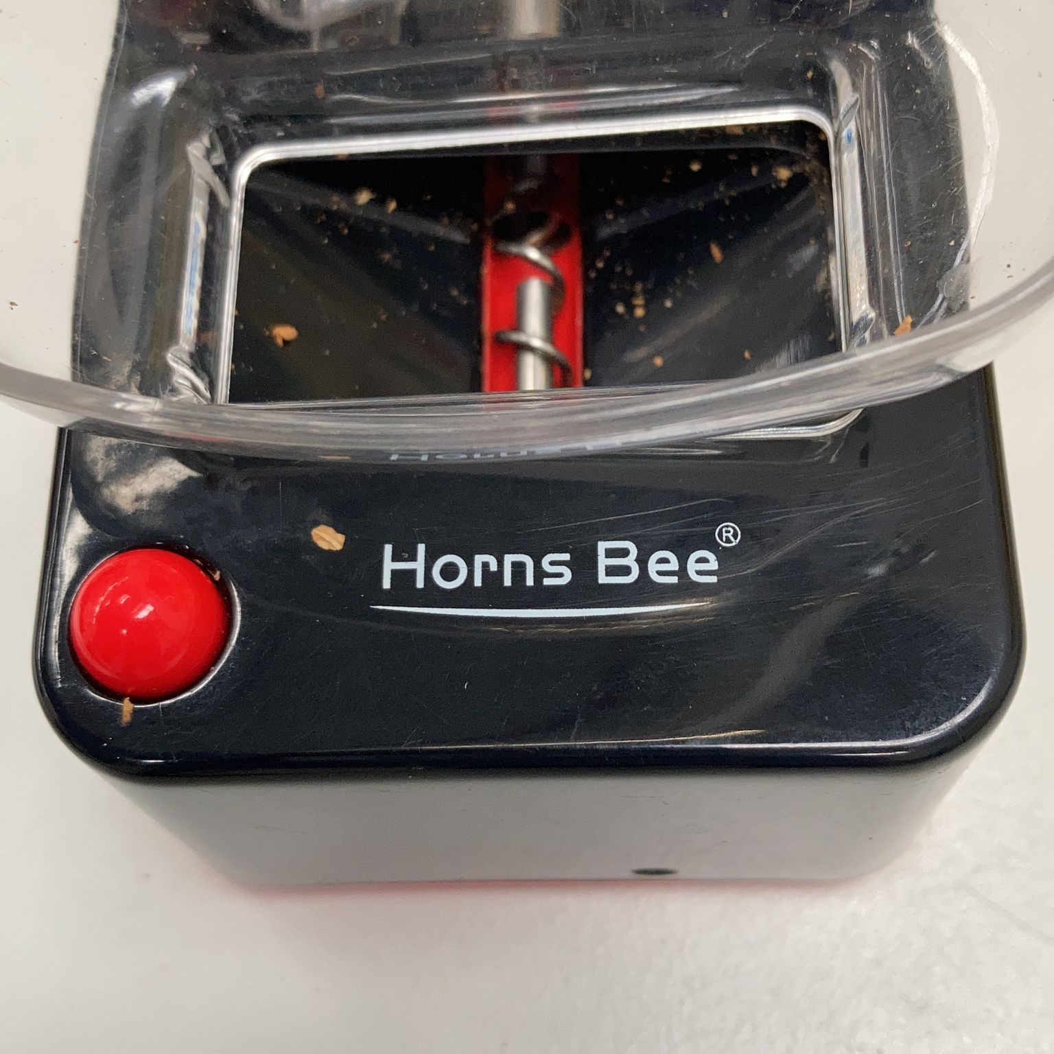 Horns Bee