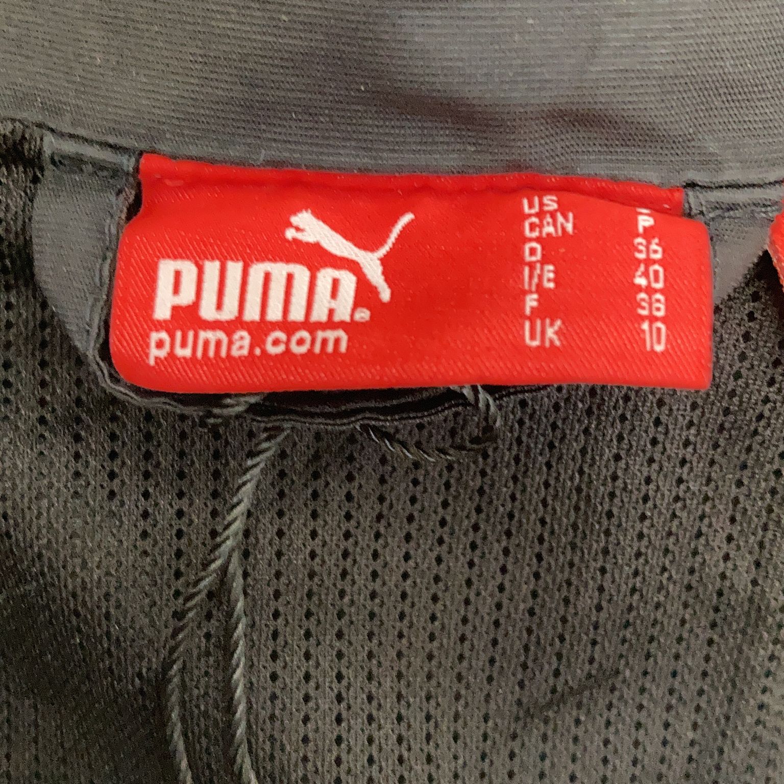 Puma