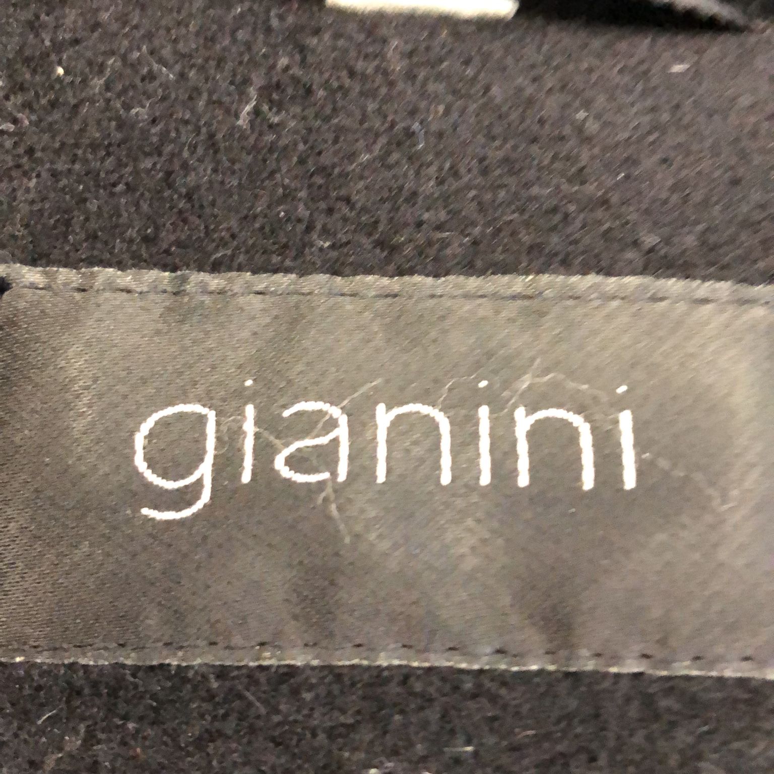 Gianini