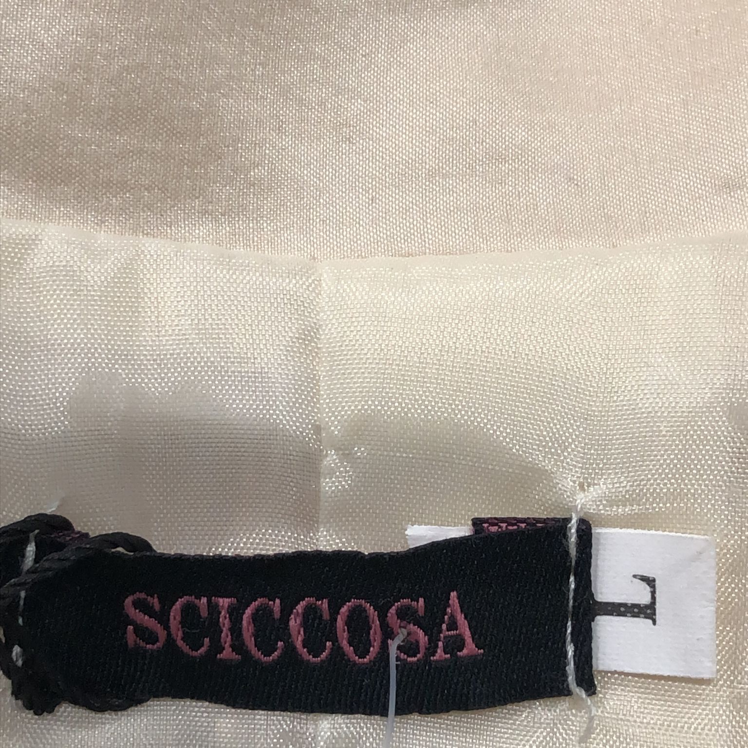 Sciccosa