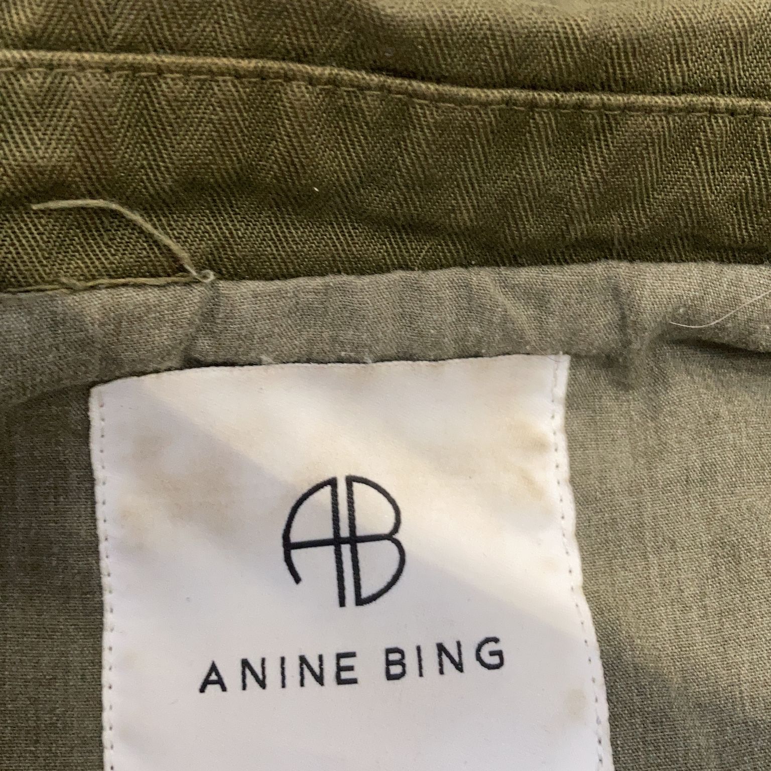 Anine Bing