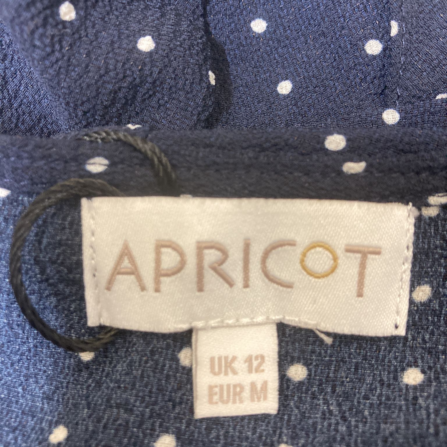 Apricot