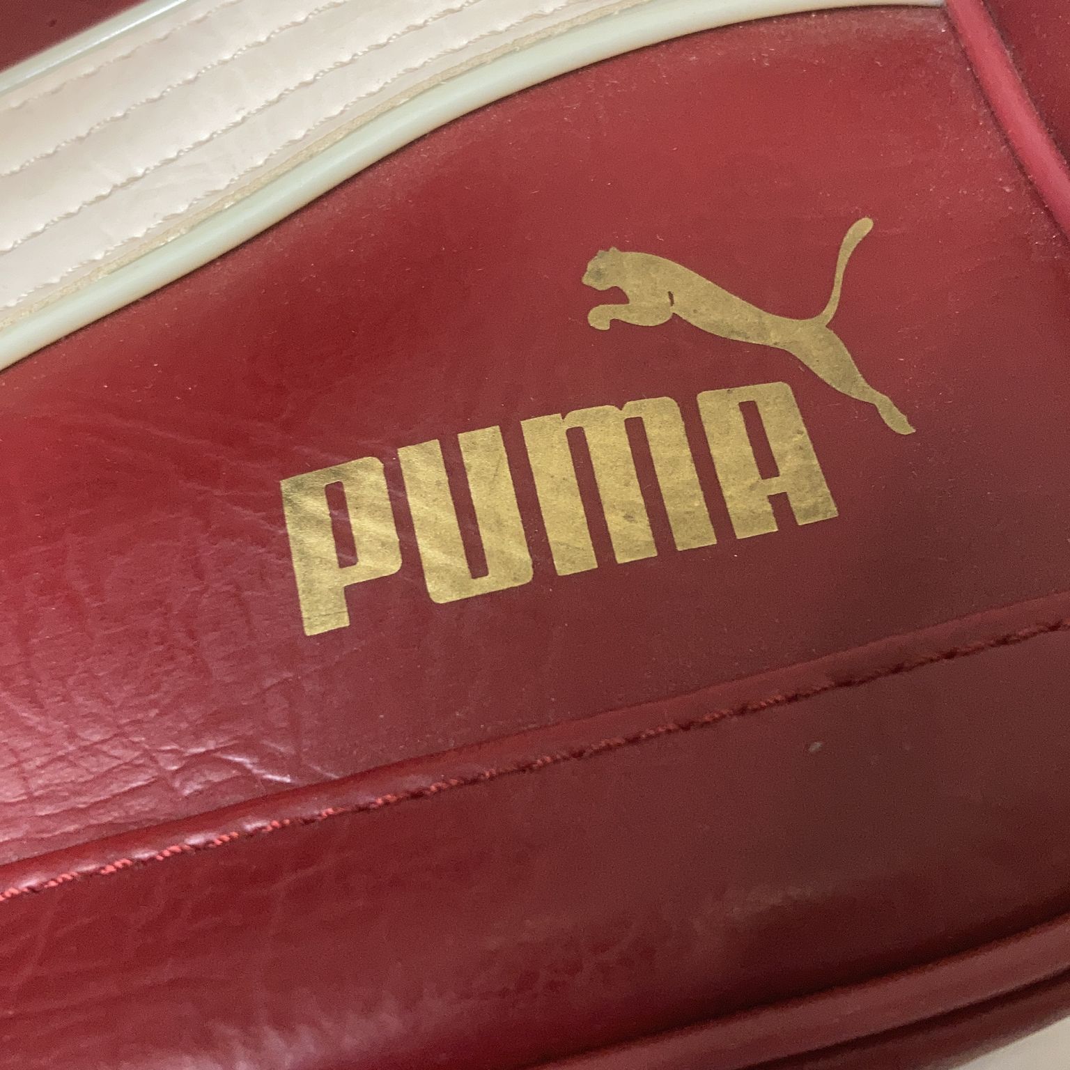 Puma