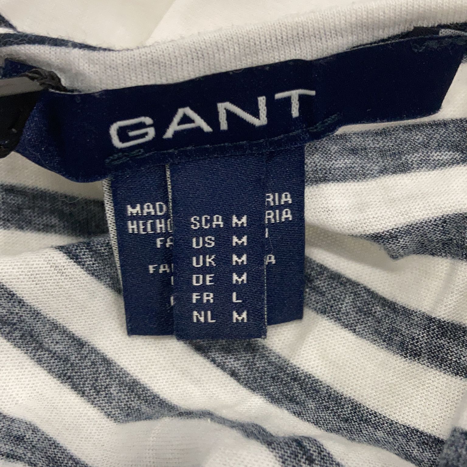 GANT