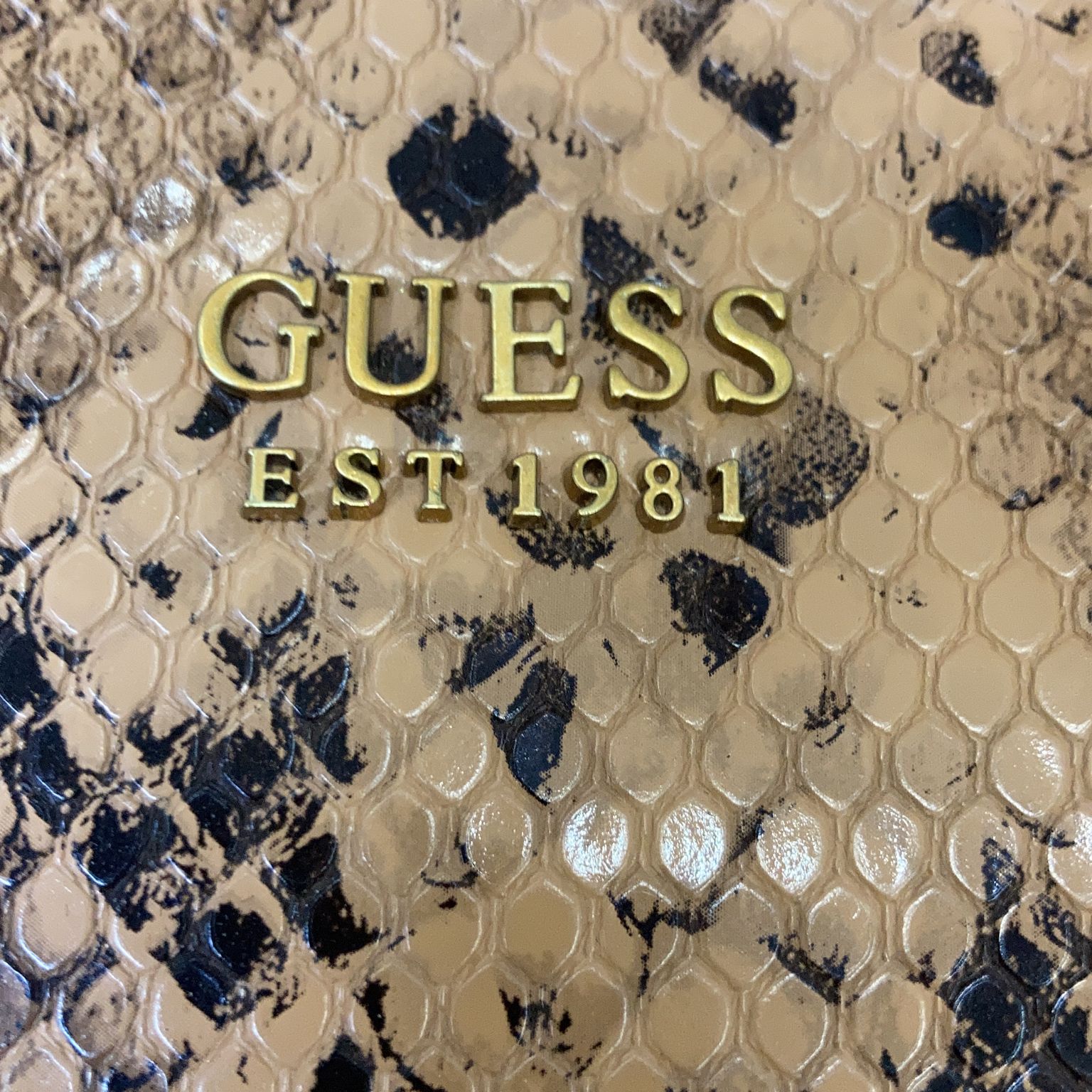 Guess