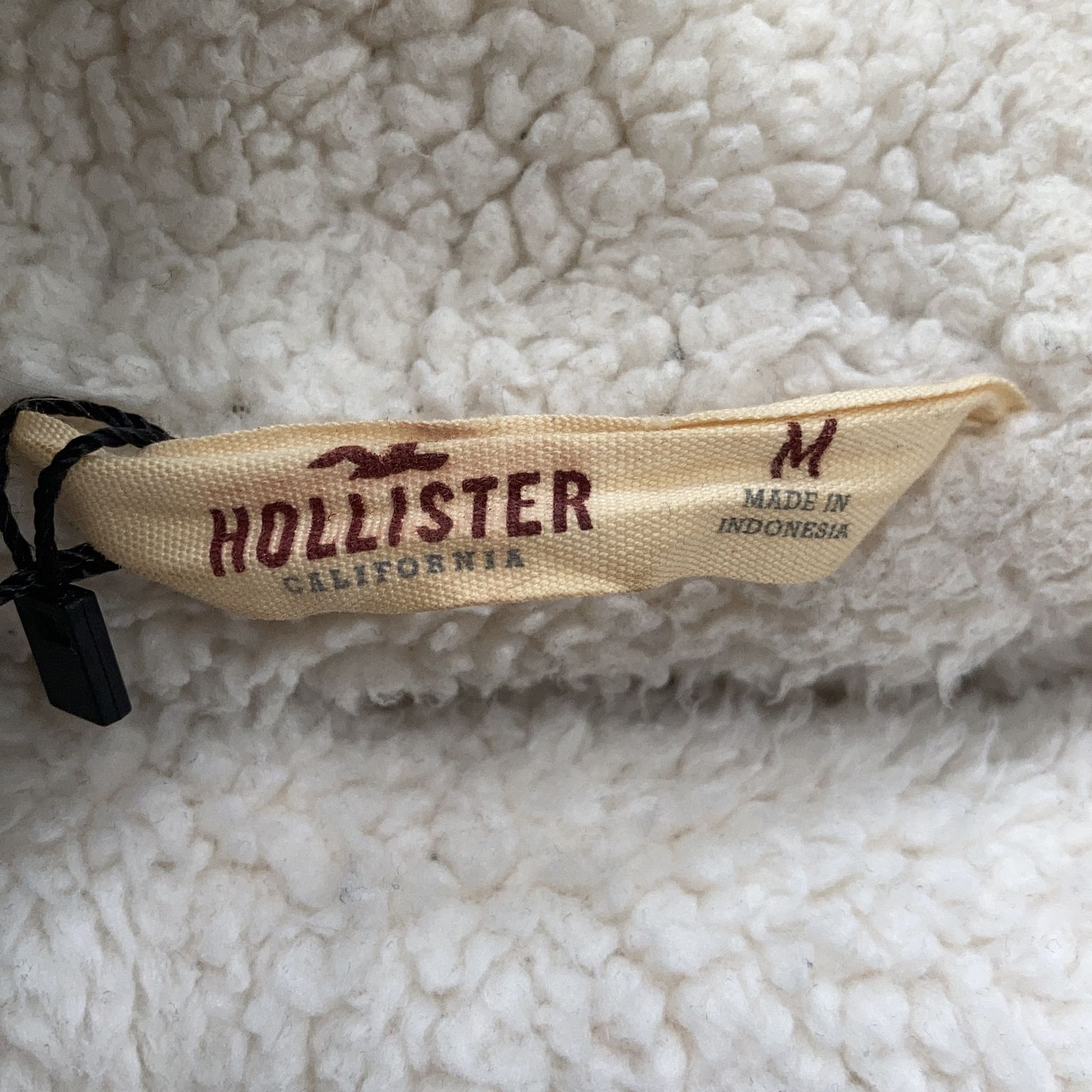 Hollister