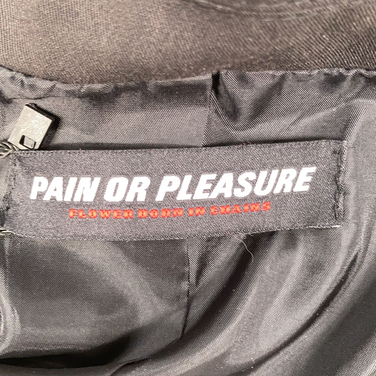 Pain or Pleasure