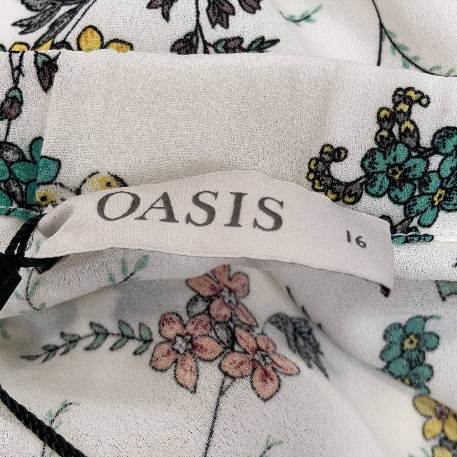 Oasis