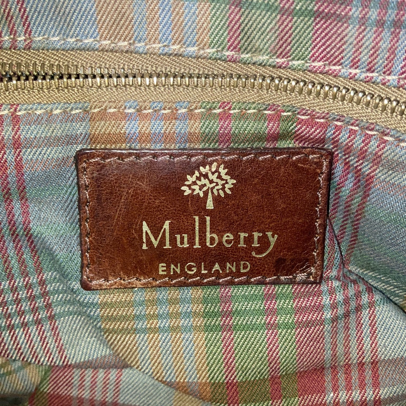 Mulberry