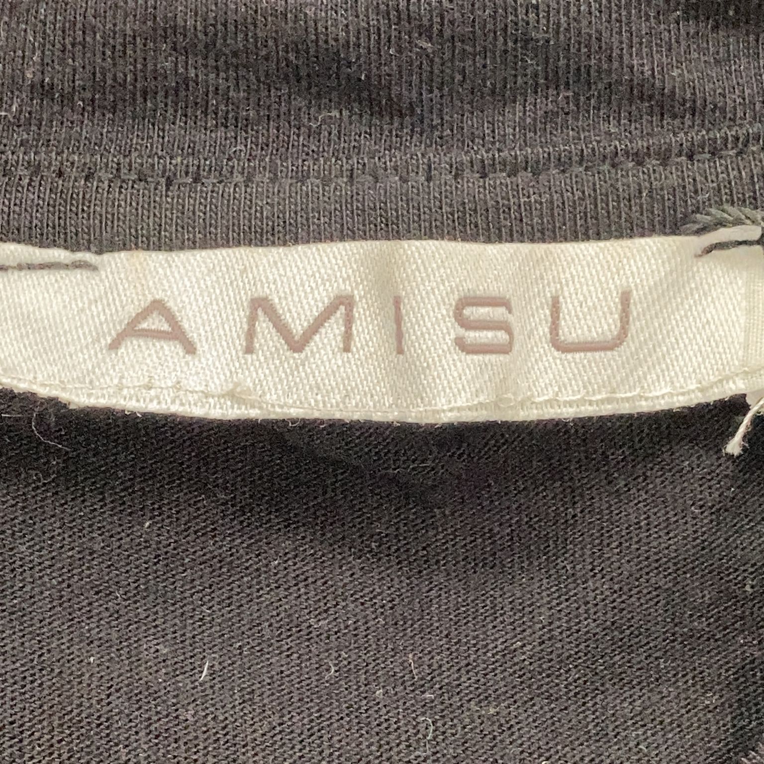 Amisu