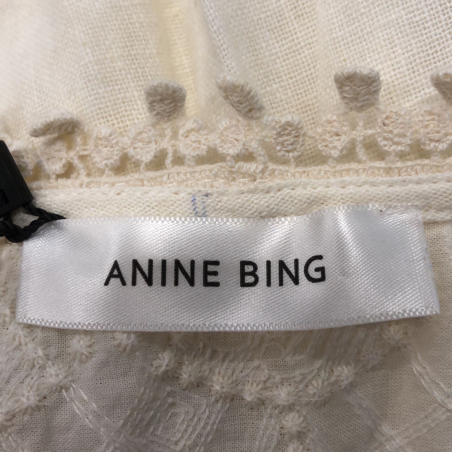 Anine Bing