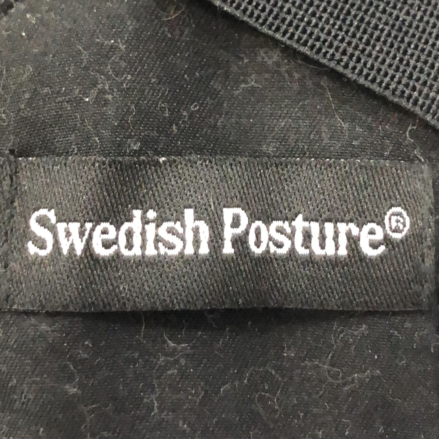 Swedish Posture