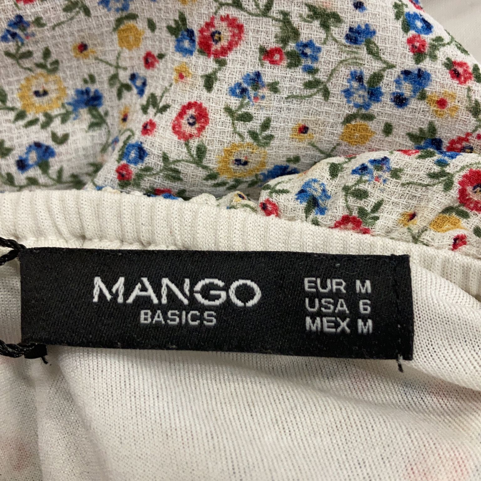 Mango Basics