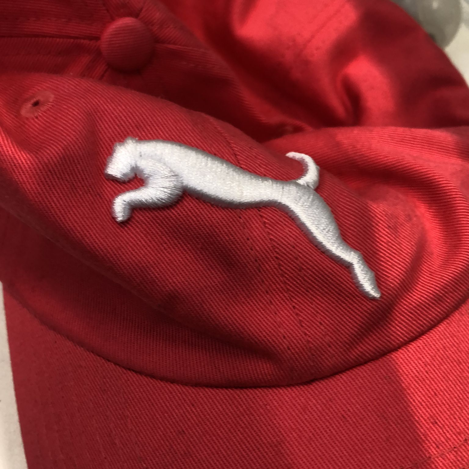 Puma