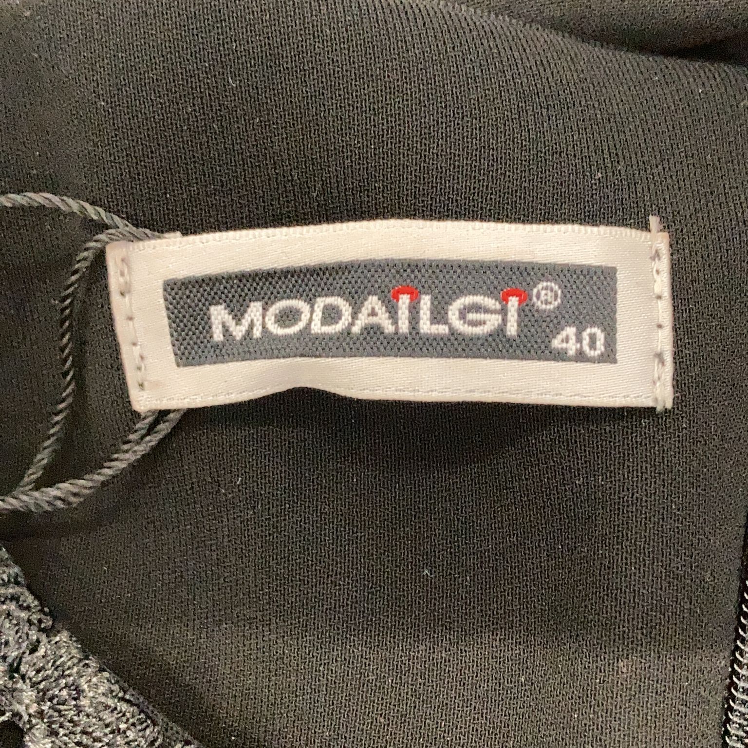 Modailgi