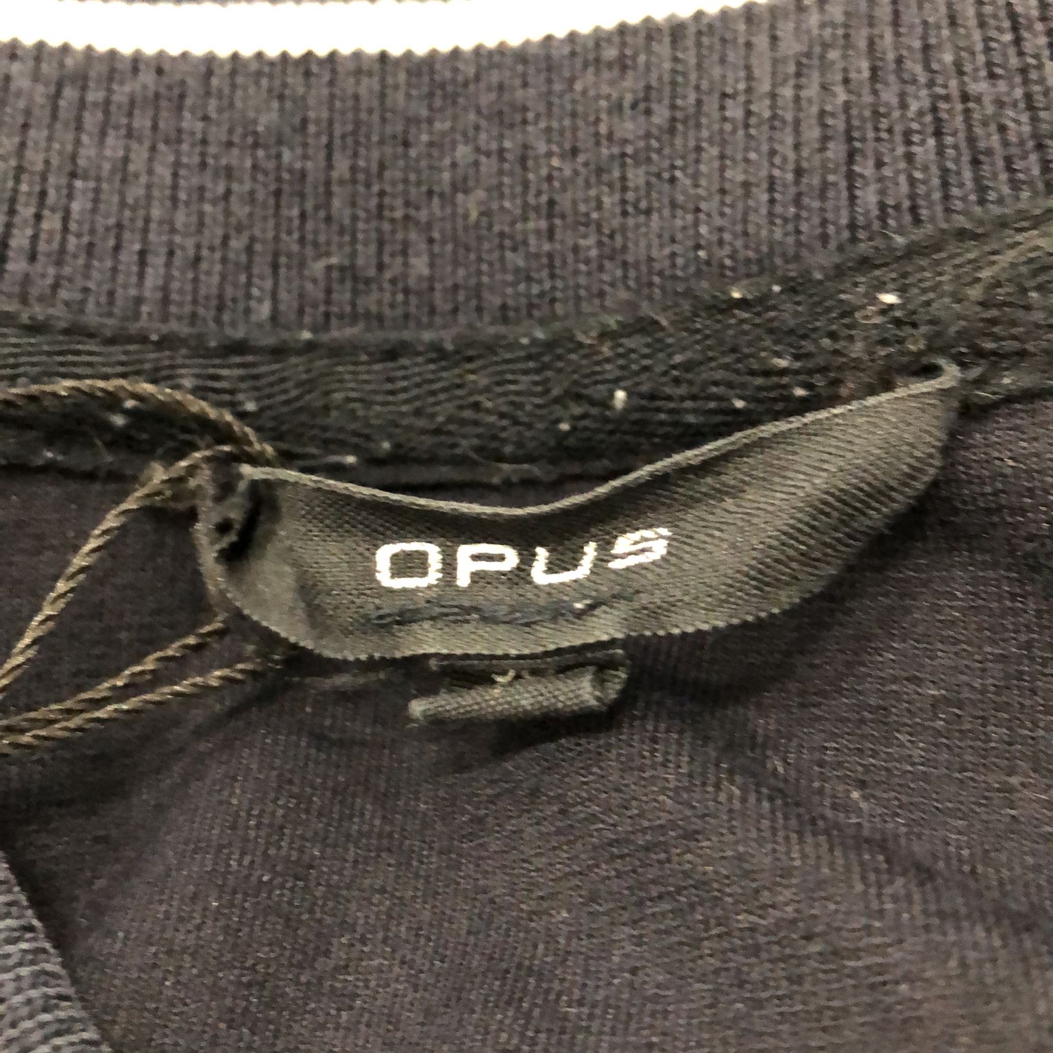 Opus