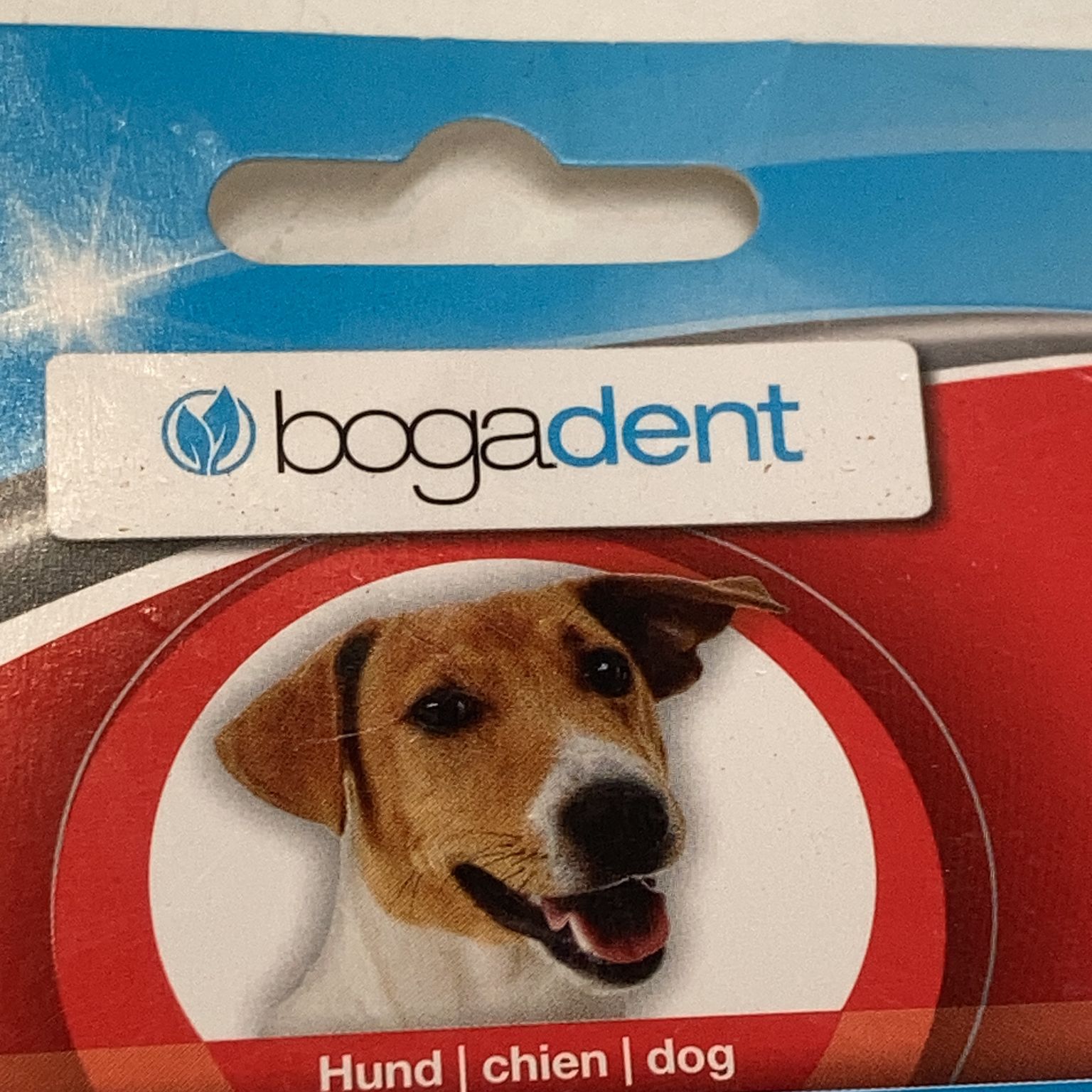 Bogadent