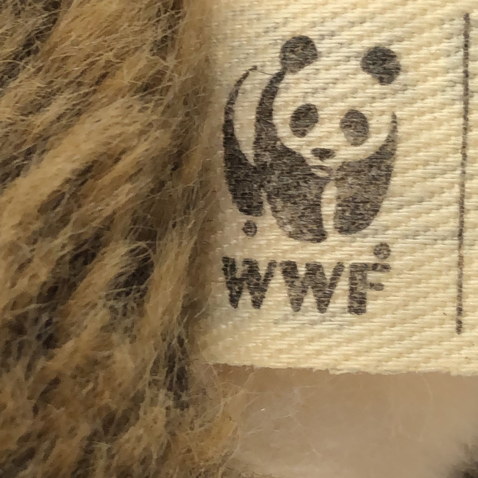 WWF