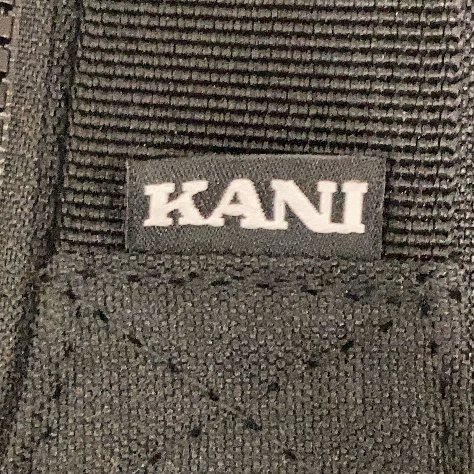 Kani