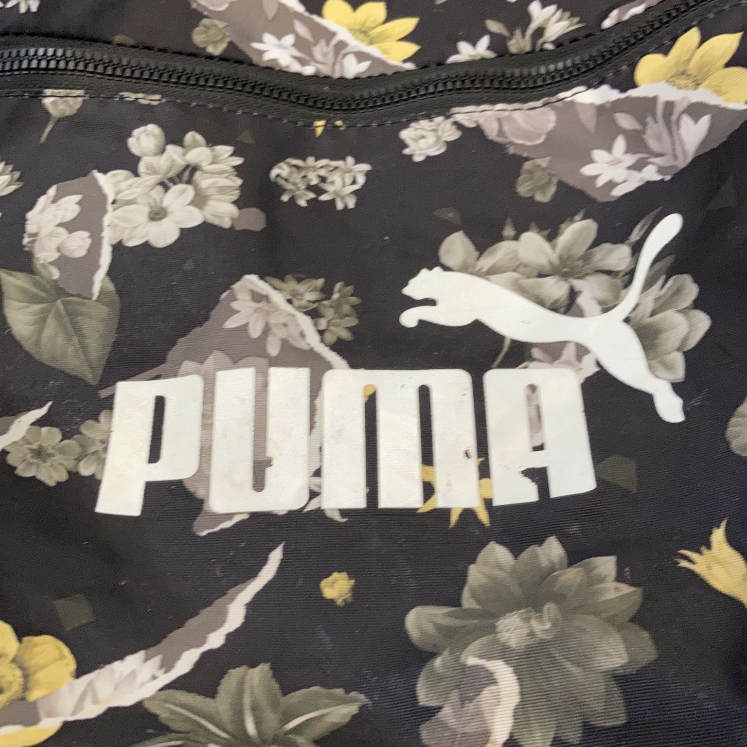 Puma