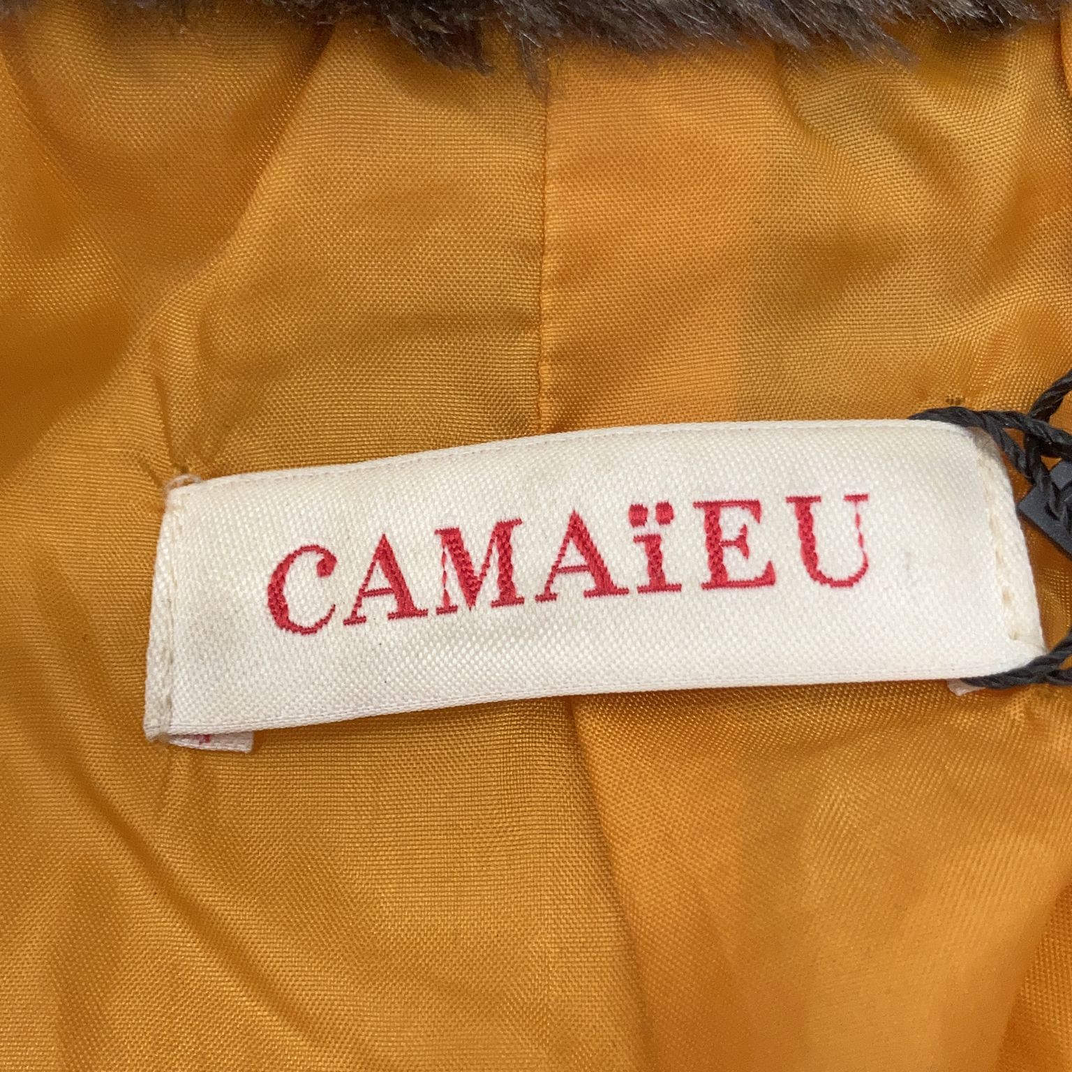 Camaїeu