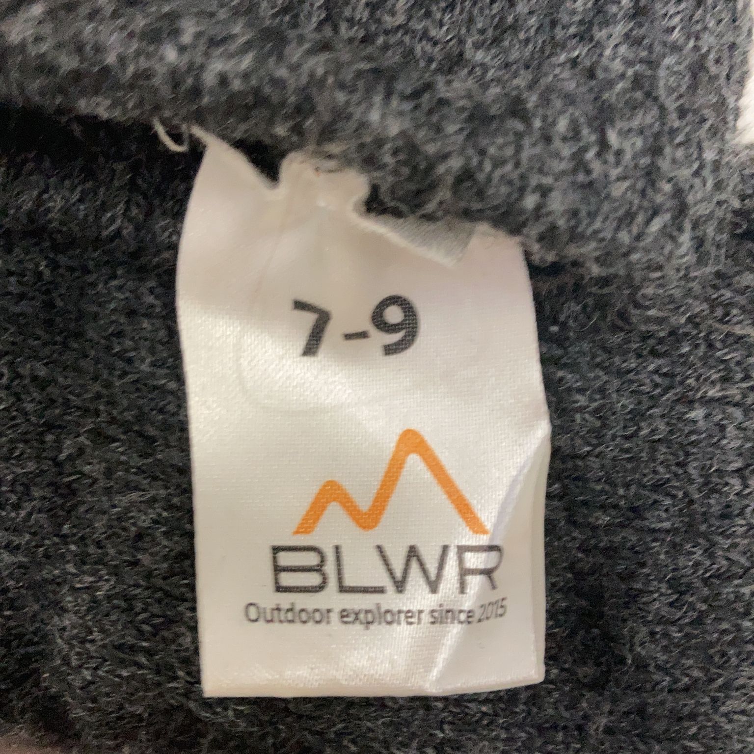 BLWR