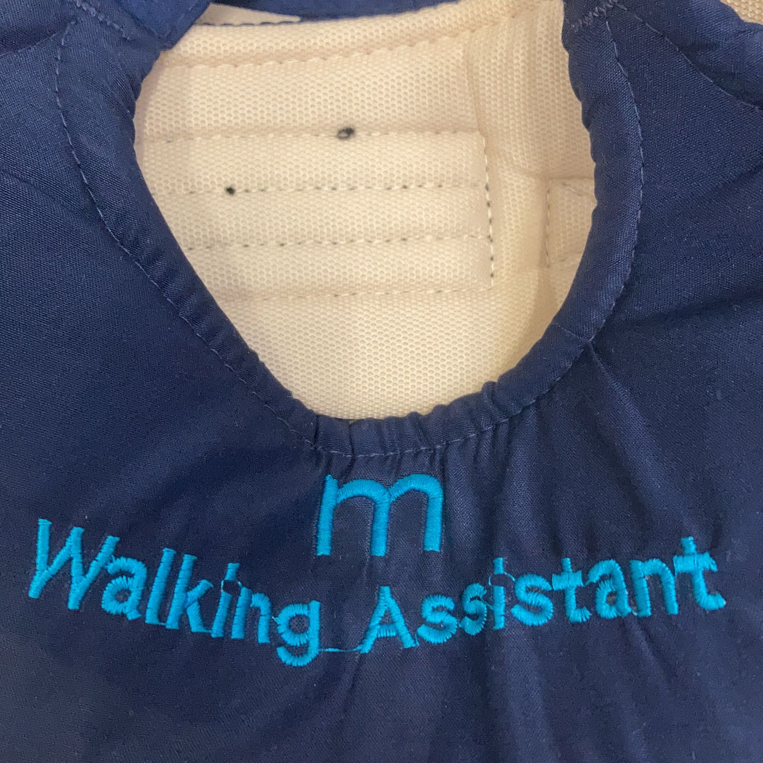 Walking Assistant