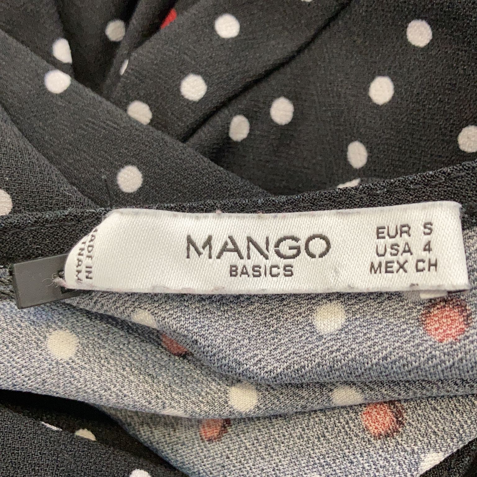 Mango Basics