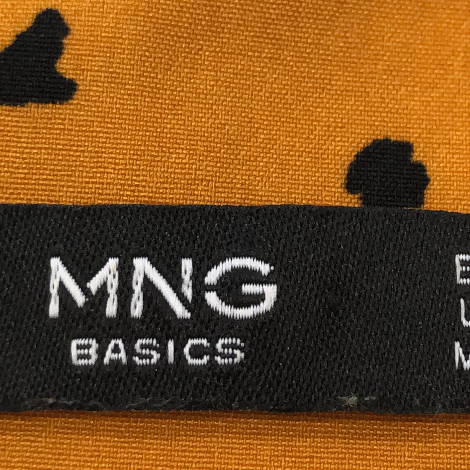 Mango Basics