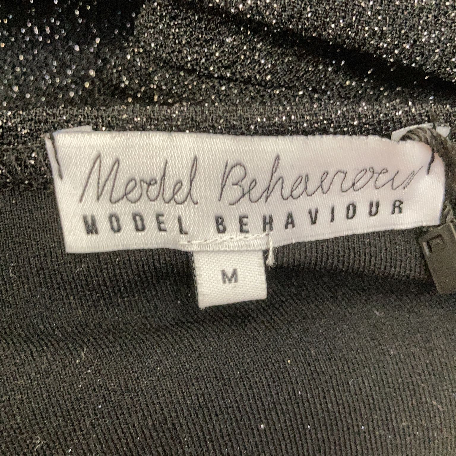 Model Behaviour