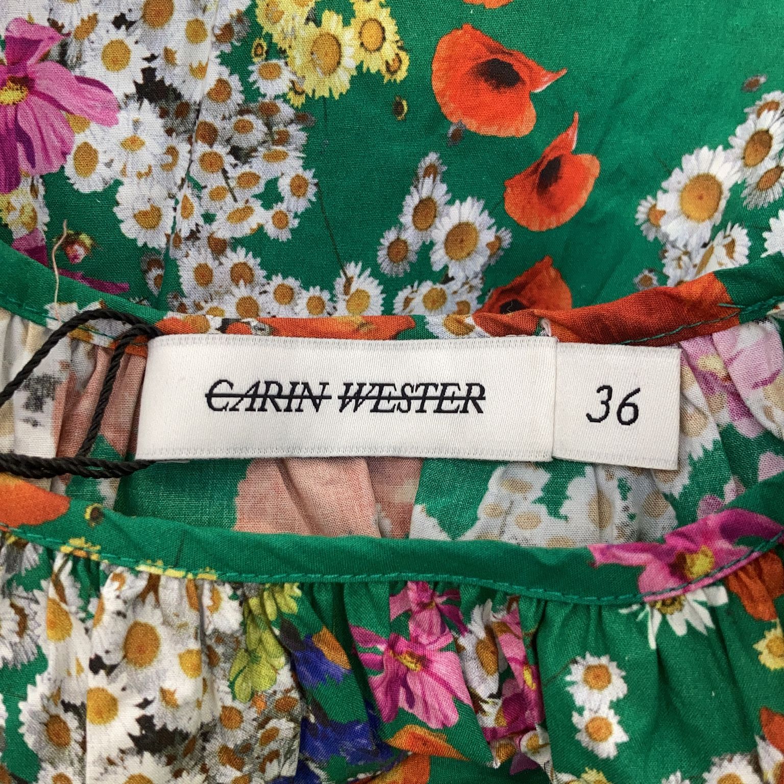 Carin Wester