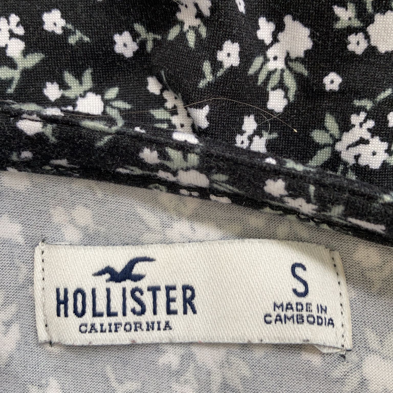 Hollister