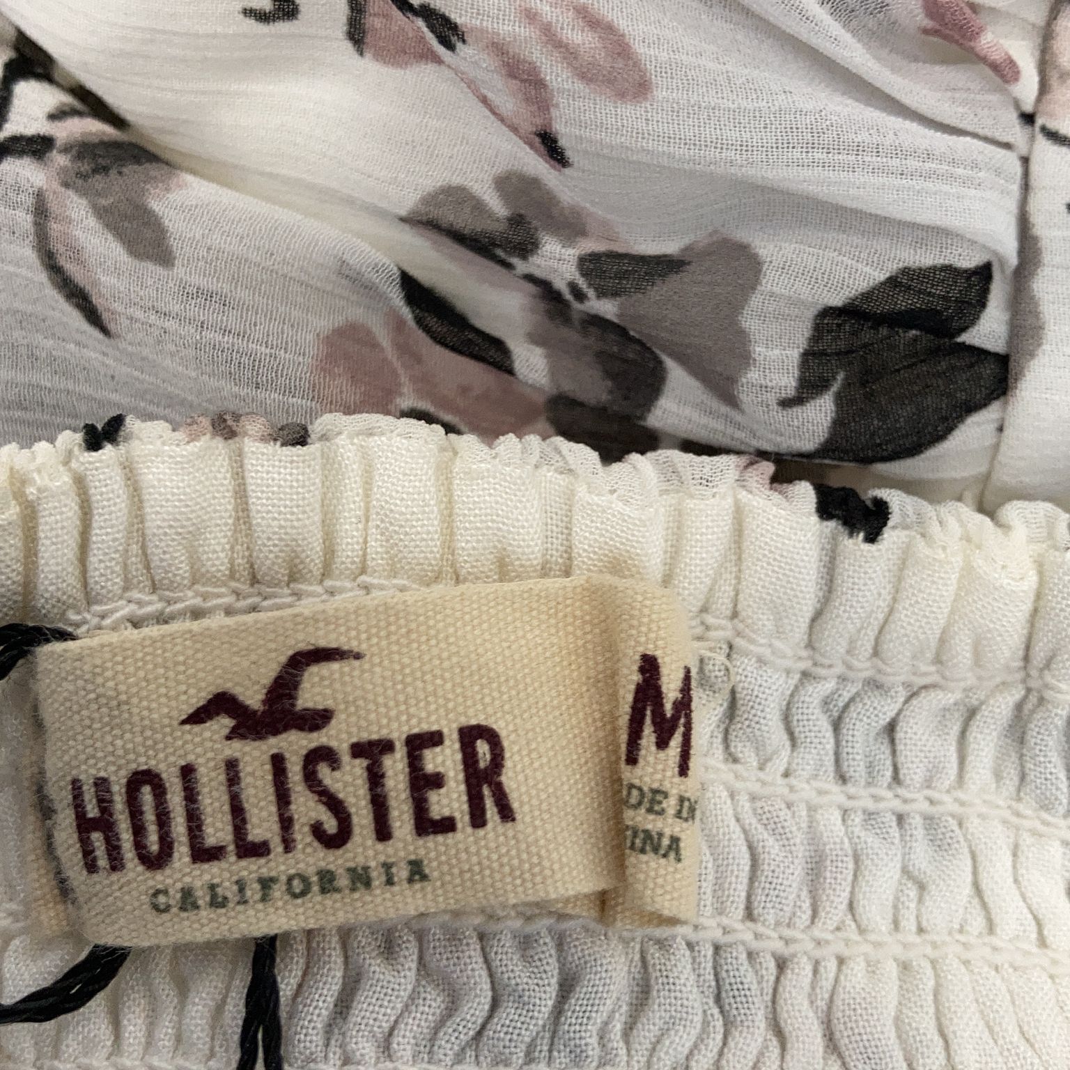 Hollister