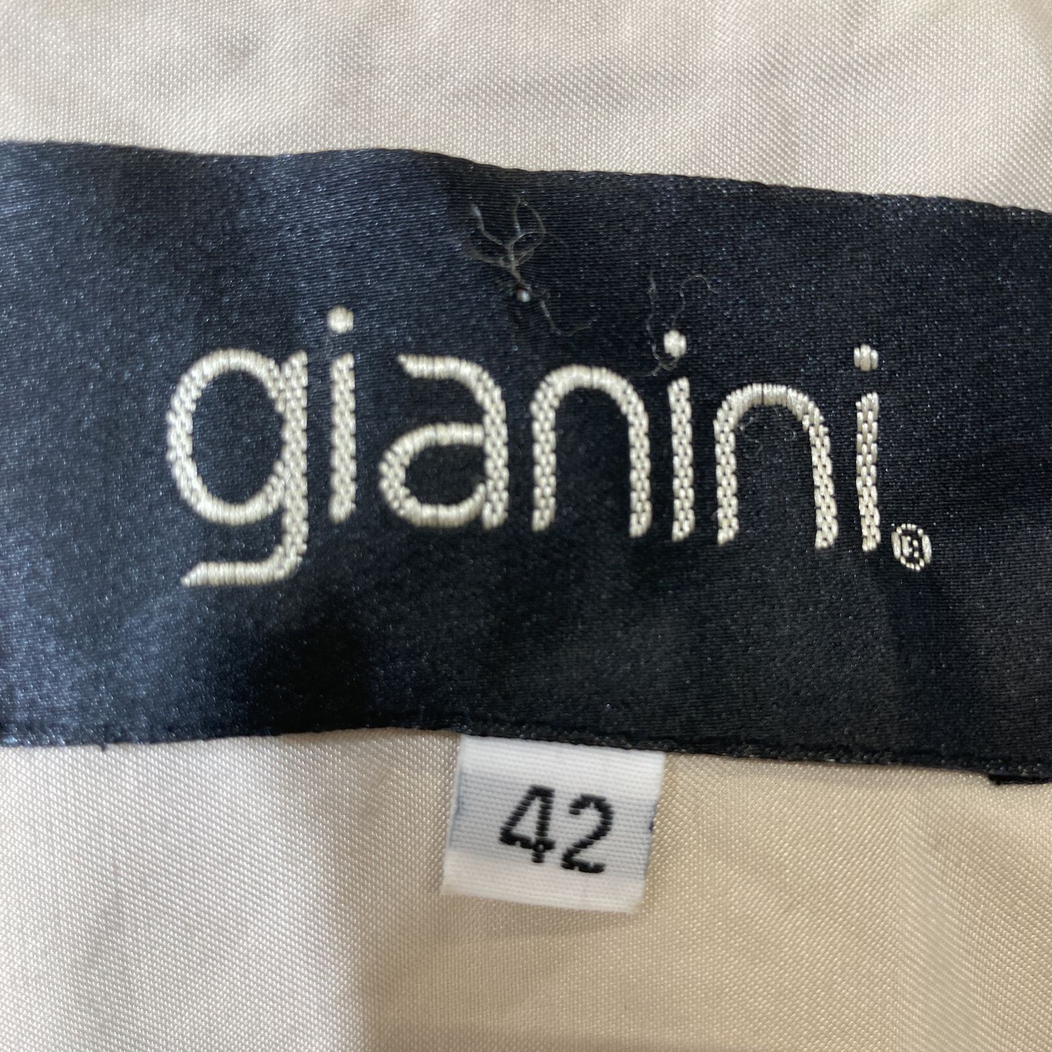 Gianini